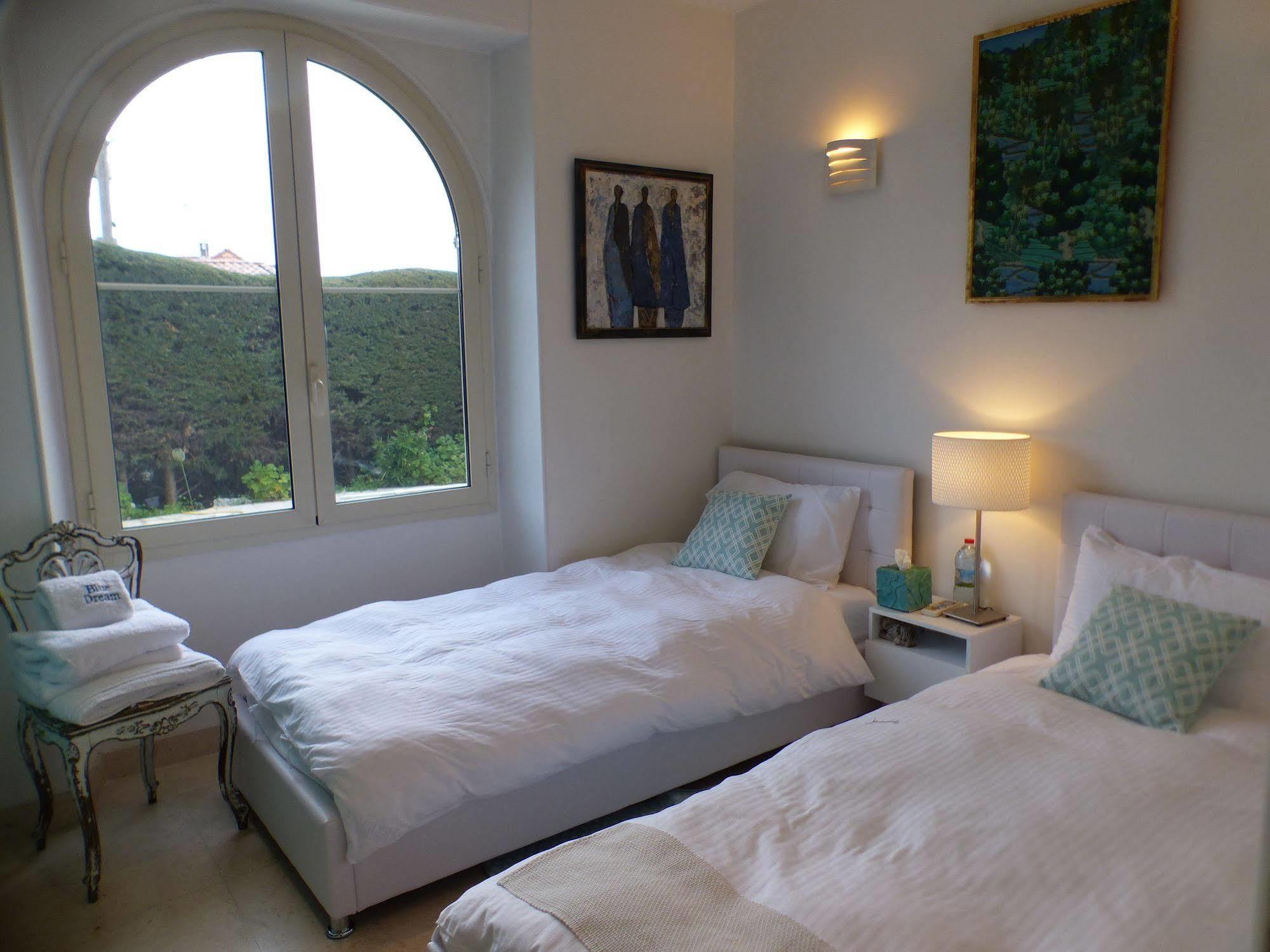 Blue Dream Cannes Guest House Екстер'єр фото